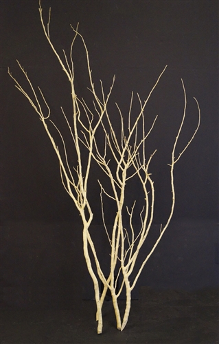 Beau Monde Centerpiece Branches, Sandblasted, 30" Tall