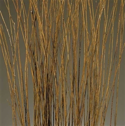 Asian Willow, Natural