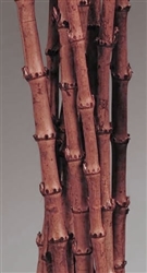 Coral Stick, Burnt Oak