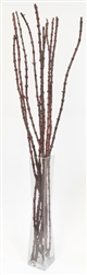 Coral Sticks With Vase (Shipping Included!)