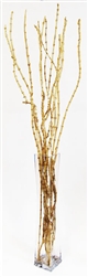 Coral Sticks With Vase, Honey (Shipping Included!)