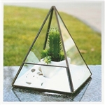 Geometric Glass Terrarium, Pyramid Shape