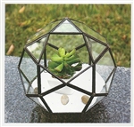 Geometric Glass Terrarium, Multi-Faceted