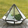 Geometric Glass Terrarium, Diamond-Faceted