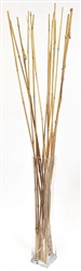 Honey Bamboo With Vase (Shipping Included!)
