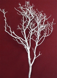 White Manzanita Branches, 30" tall