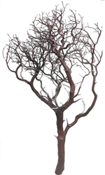 Natural Red Manzanita Branches, 36" Tall