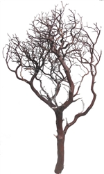 Natural Red Manzanita, 36" tall (case of 3, shipping included!)