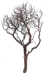 Natural Red Manzanita Branches, 42" Tall (case of 3, shipping included!)