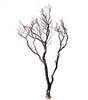 Natural Red Manzanita Branch, 48"