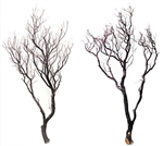 Natural Red Manzanita branches, 48" (case of 2, shipping included!)