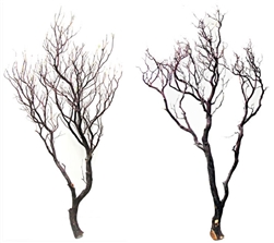 Natural Red Manzanita branches, 48" (case of 2, shipping included!)