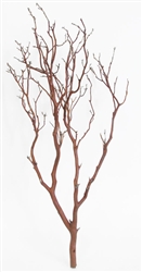Chaparral Manzanita Branches, 18" Tall