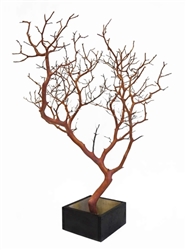 Four Manzanita Branches 24" Tall with Bases, Complete Kit (Shipping Included!)