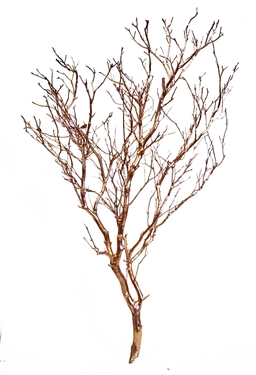 Rose-Gold Metallic Manzanita Branches, 24" Tall