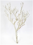 Sandblasted Manzanita Branches, 18" tall