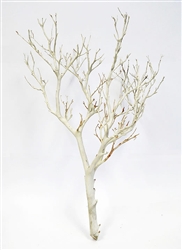 Sandblasted Manzanita Branches, 18" tall