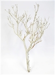 Sandblasted Manzanita Branches, 18" tall, (case of 4, shipping included!)