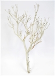 Sandblasted Manzanita Branches, 18" tall, (case of 8, shipping included!)