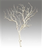 Sandblasted Manzanita, 24" tall (case of 8, shipping included!)