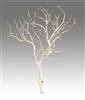 Sandblasted Manzanita Branches, 24" tall, (case of 6 shipping included!)
