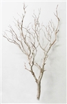 Sandblasted Manzanita, 36" tall (case of 3, shipping included!)