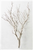 Sandblasted Manzanita Branches, 42" tall