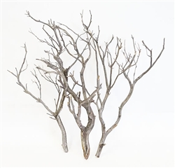 Silverwood Manzanita Filler Branches, set of 3, SHIPPING INCLUDED