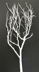 Chaparral White Manzanita Branches, 18"-24"