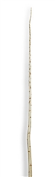 Yucca Pole, 72" - Case of 5