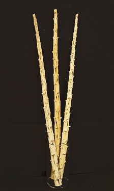 Yucca Tips, 36" Tall