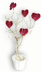 Sandblasted Manzanita Branch Centerpiece Kit