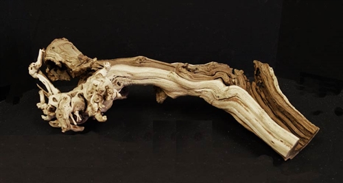 Large Grapewood Burl - LBRL-0708