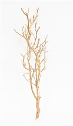 8 Gold Manzanita Filler Branches, 18"-24" (case of 8, shipping included!)