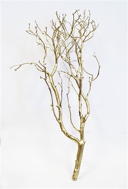 Gold Manzanita Chaparral Branches, 18"-24"