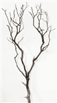 Natural Red Manzanita Filler Branch, 36"