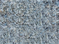 Oyster Shell Bulk