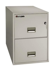 SentrySafe 2 Drawer Insulated Vertical File - 25"