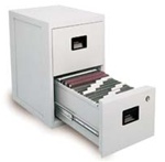 Sentry Safe FIRE-SAFE 2-Drawer Office File Model: 6000