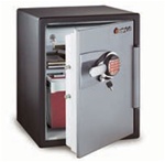 Sentry Safe Fire-Safe Electronic Safe Model OA5848