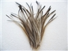 Emu Body Feathers - Sorted - 0.25 oz