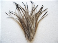 Emu Body Feathers - Sorted - 0.25 oz