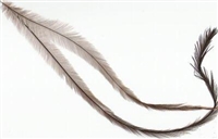 Emu Feathers - Unsorted Bulk  1 oz