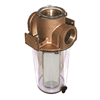 GROCO ARG-1250 Series 1-1/4" Raw Water Strainer with Non-Metallic Plastic Basket