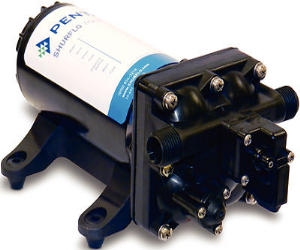 SHURFLO Problaster II Deluxe 4.0 GPM Water Pump 4248-153-E09