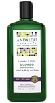 Andalou Naturals Shampoo, Lavender & Biotin (11.5 oz)