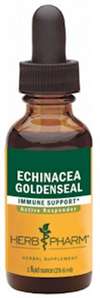 ECHINACEA GOLDENSEAL - 1 fl oz