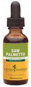 SAW PALMETTO EXTRACT  - 1 fl oz