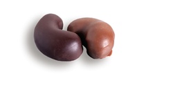 Chocolate covered cashews