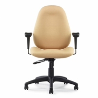 All Seating - Chiroform Highback